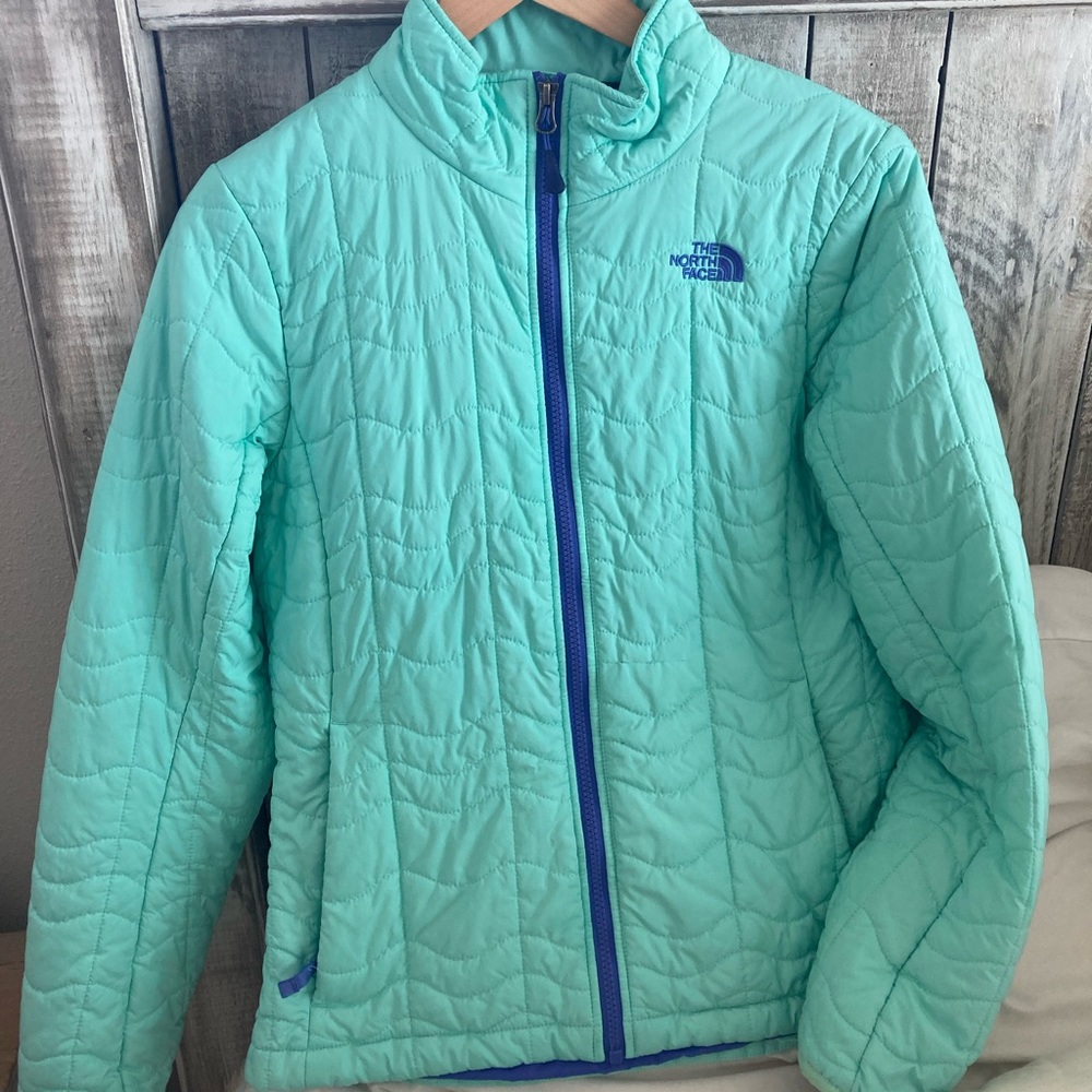 The North Face Fitted Aqua Jacket